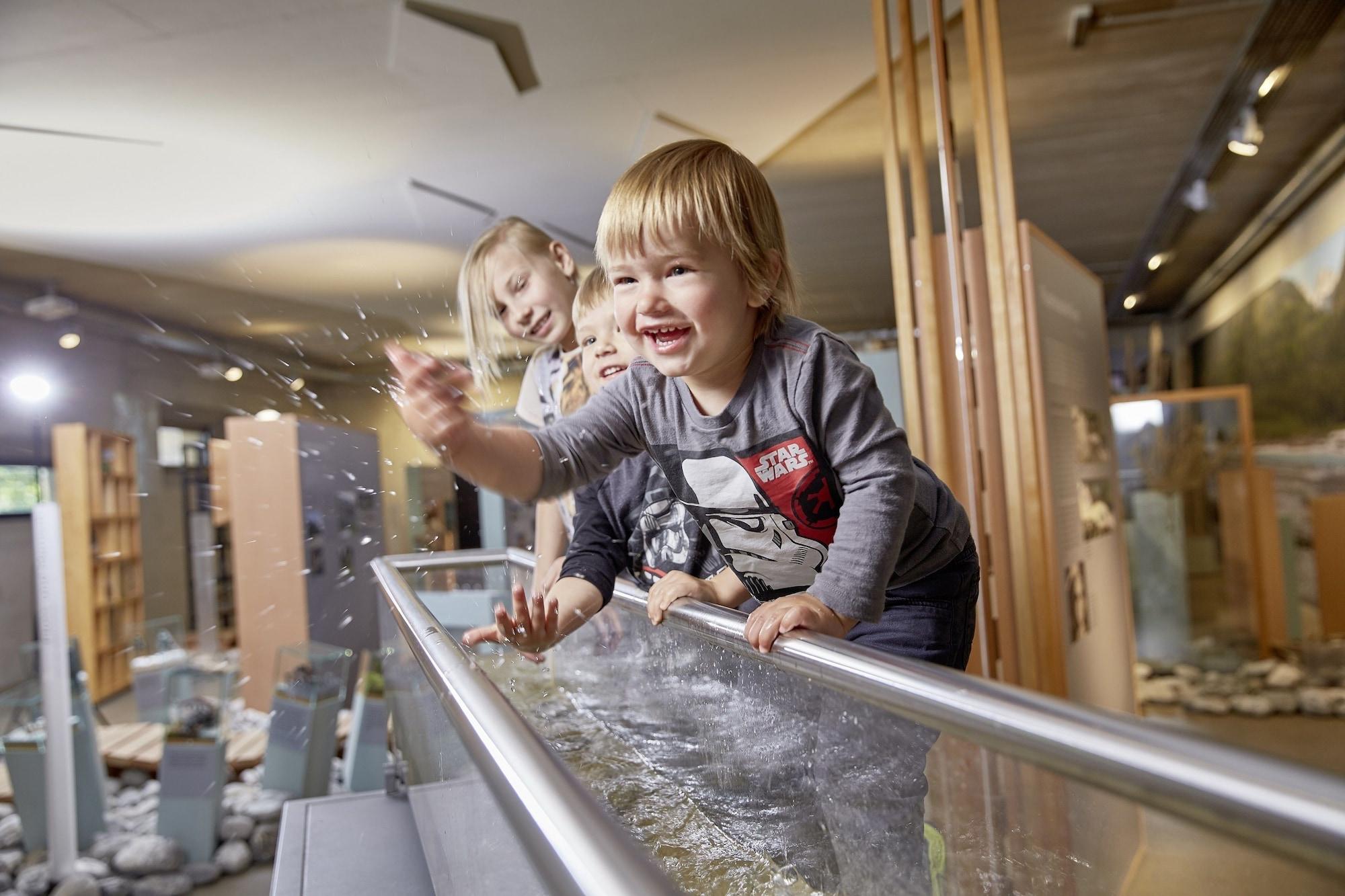 Instalaciones Recreativas Gasthof Salzstadl