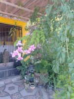 Alojamiento - OcaRu Pousada & Hostel