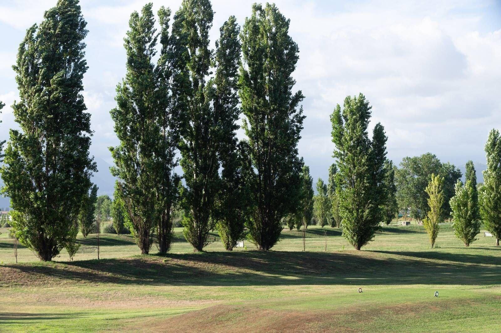 Campo de Golf Quadrifoglio Village