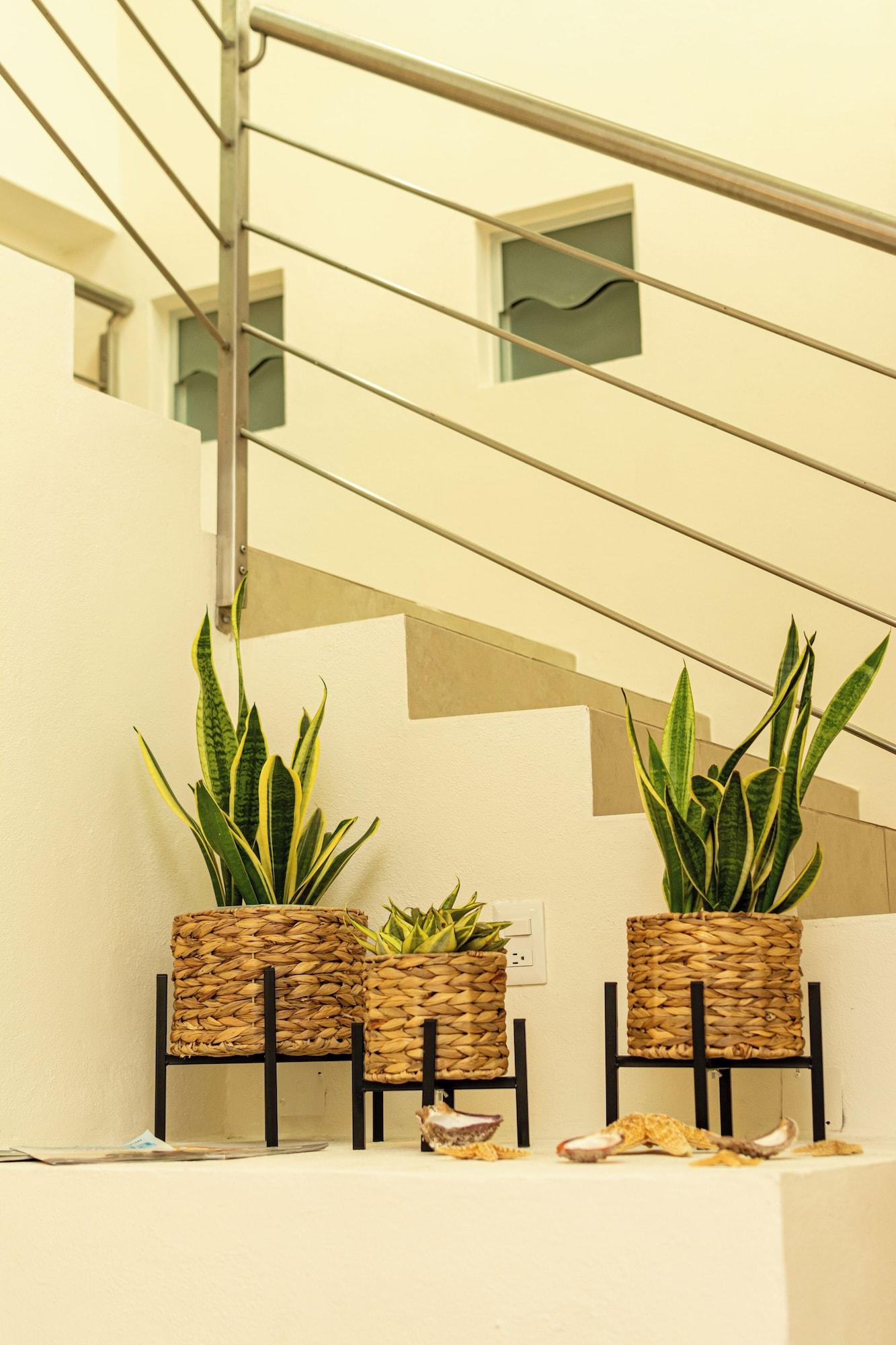 Vista Lobby Ma-Jo Sayulita Hotel