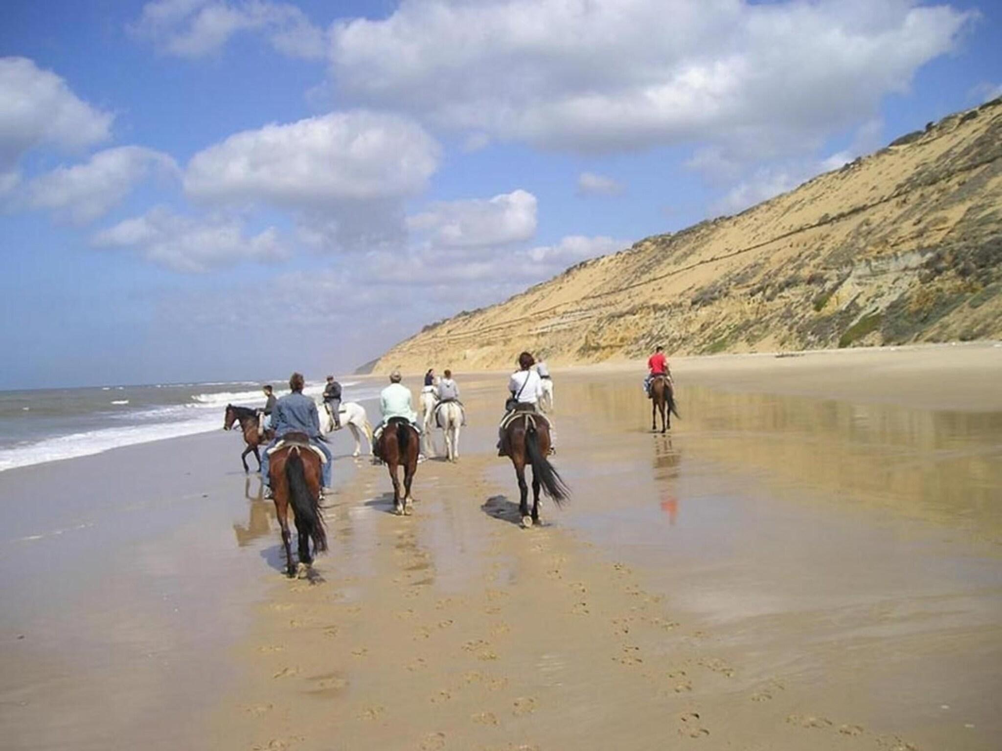 Playa Albaida Nature