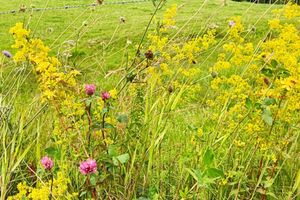 Alquiler Vacacional - 5 Person Holiday Home in Bodafors-by Traum