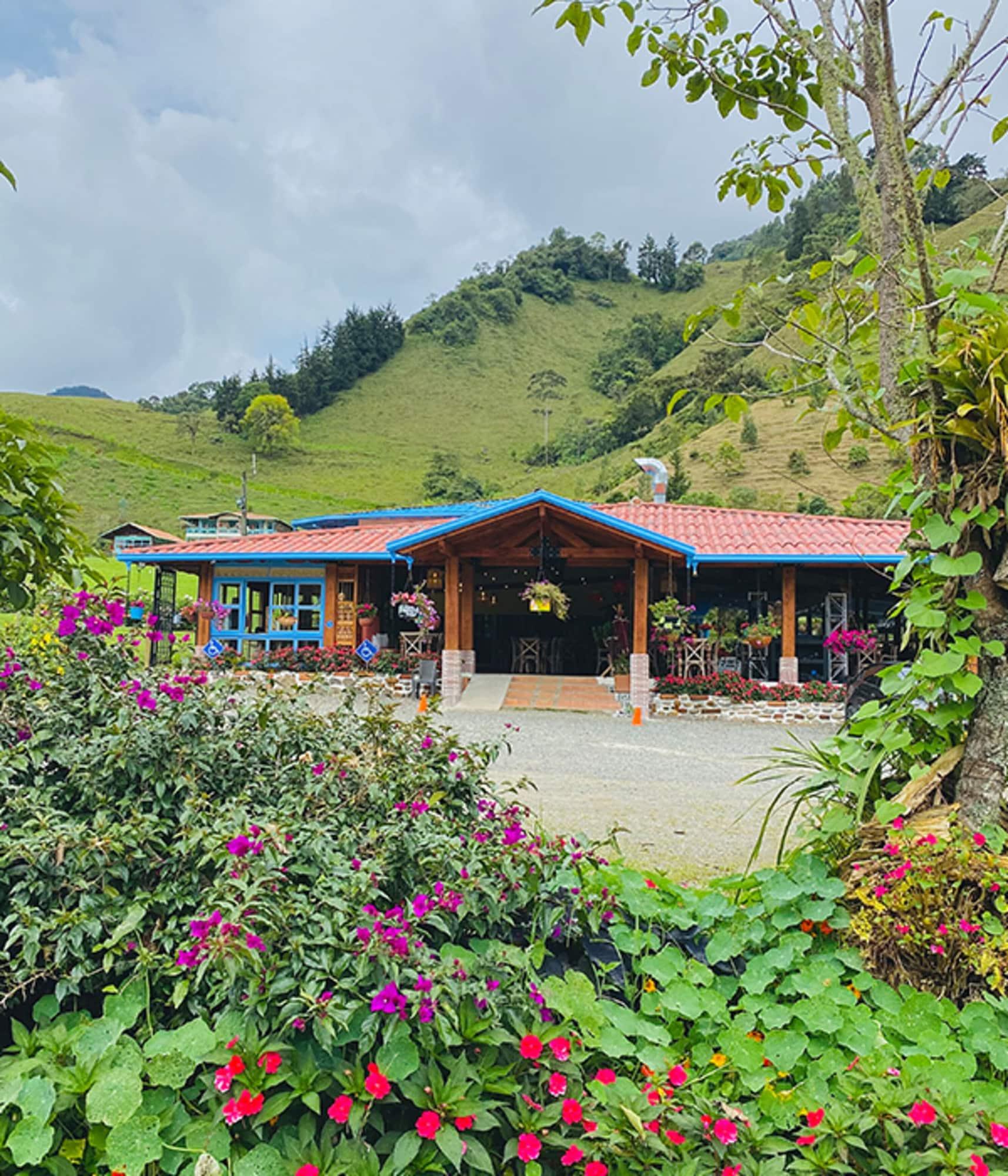 Vista Lobby Hotel Lago Valdivia