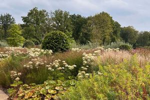 Actividad - Entrada a RHS Garden Bridgewater