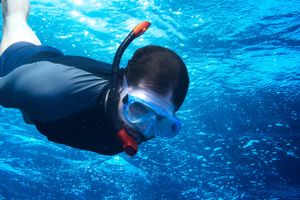 Actividad - Bautismo de buceo en Tarragona