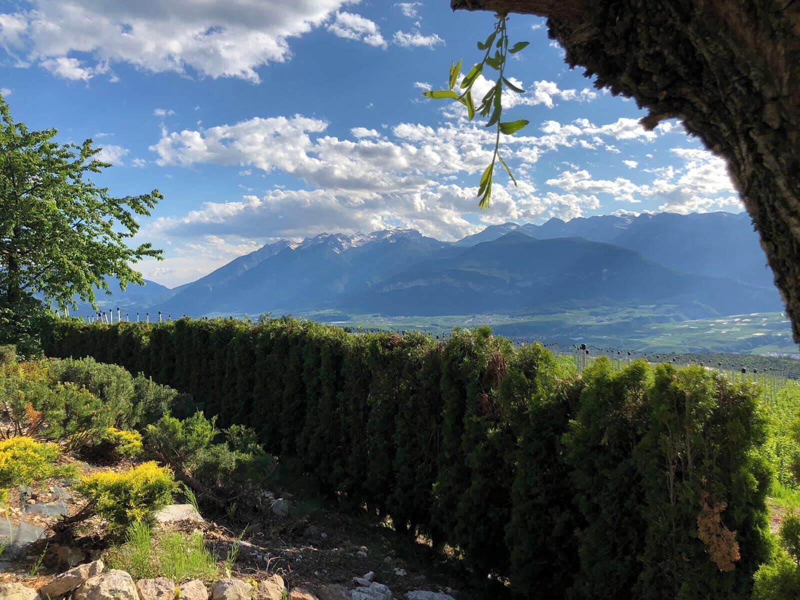 Vista Exterior Enrosadira