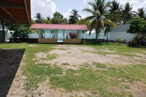 Alojamiento - Tortuga Village