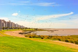 Vuelo - Vuelos a Montevideo