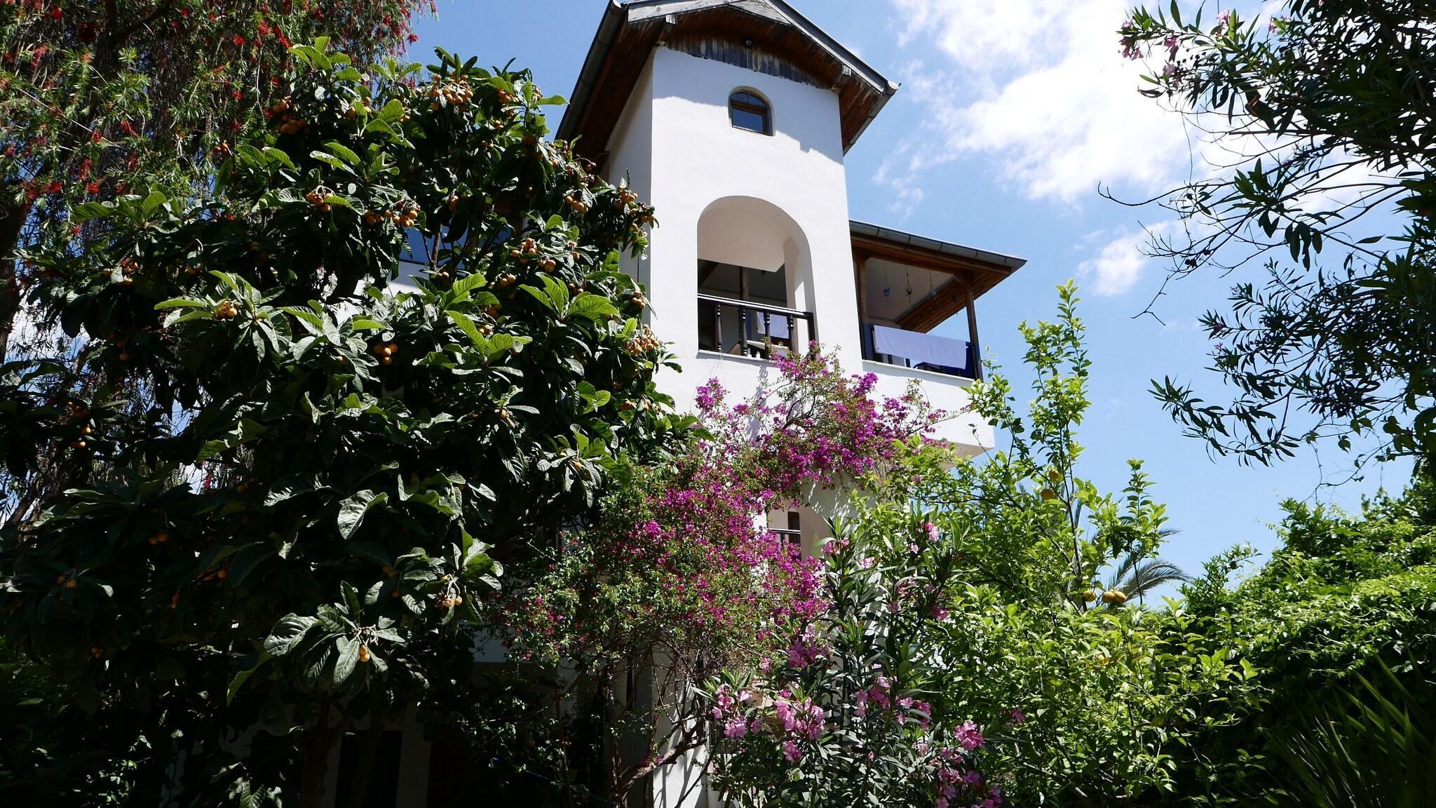 Vista Exterior Aida Hotel