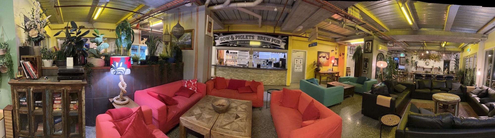 Comodidades del Alojamiento Sow and Piglets Guesthouse - Hostel