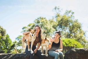 Actividad - Phillip Island y el Santuario de la Luna