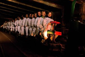 Actividad - "Sonrisas y Lágrimas" y Minas de Sal en Salzburgo