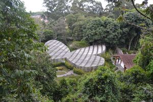 Actividad - Jardin Botanico y Mariposario