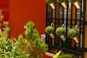 Alojamiento - Hostal Cervantes