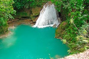 Paquete - Hibiscus Lodge