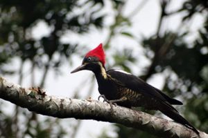 Alojamiento - Santa Maria Volcano Lodge