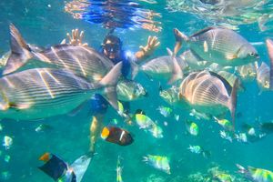 Actividad - Tour 5 islas Playa Escondida y Salto de Acantilado