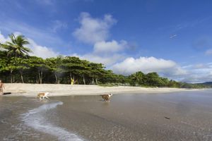 Alojamiento - Santa Teresa Surf Vista Villas