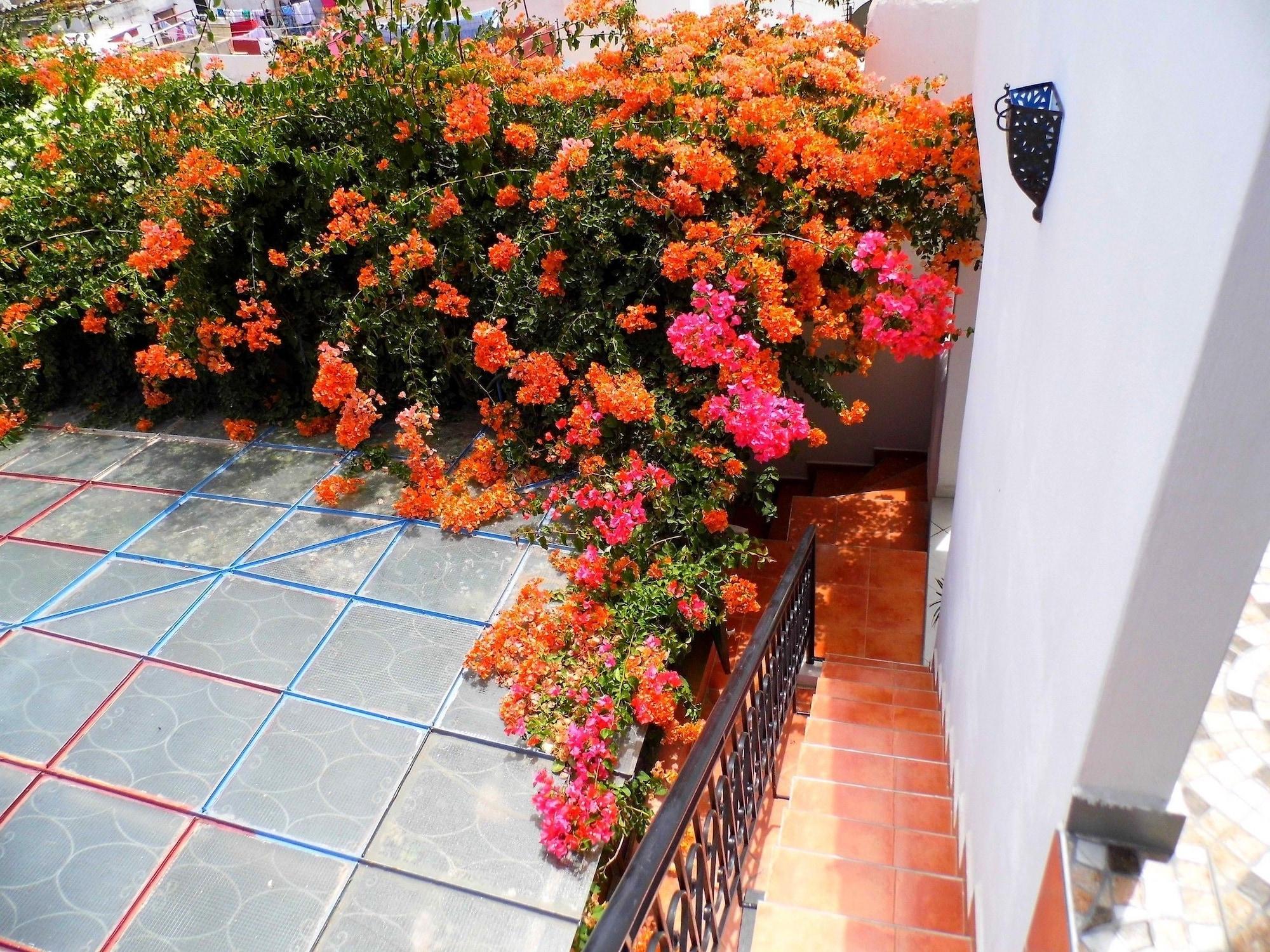 Vista Exterior Riad Marlinea