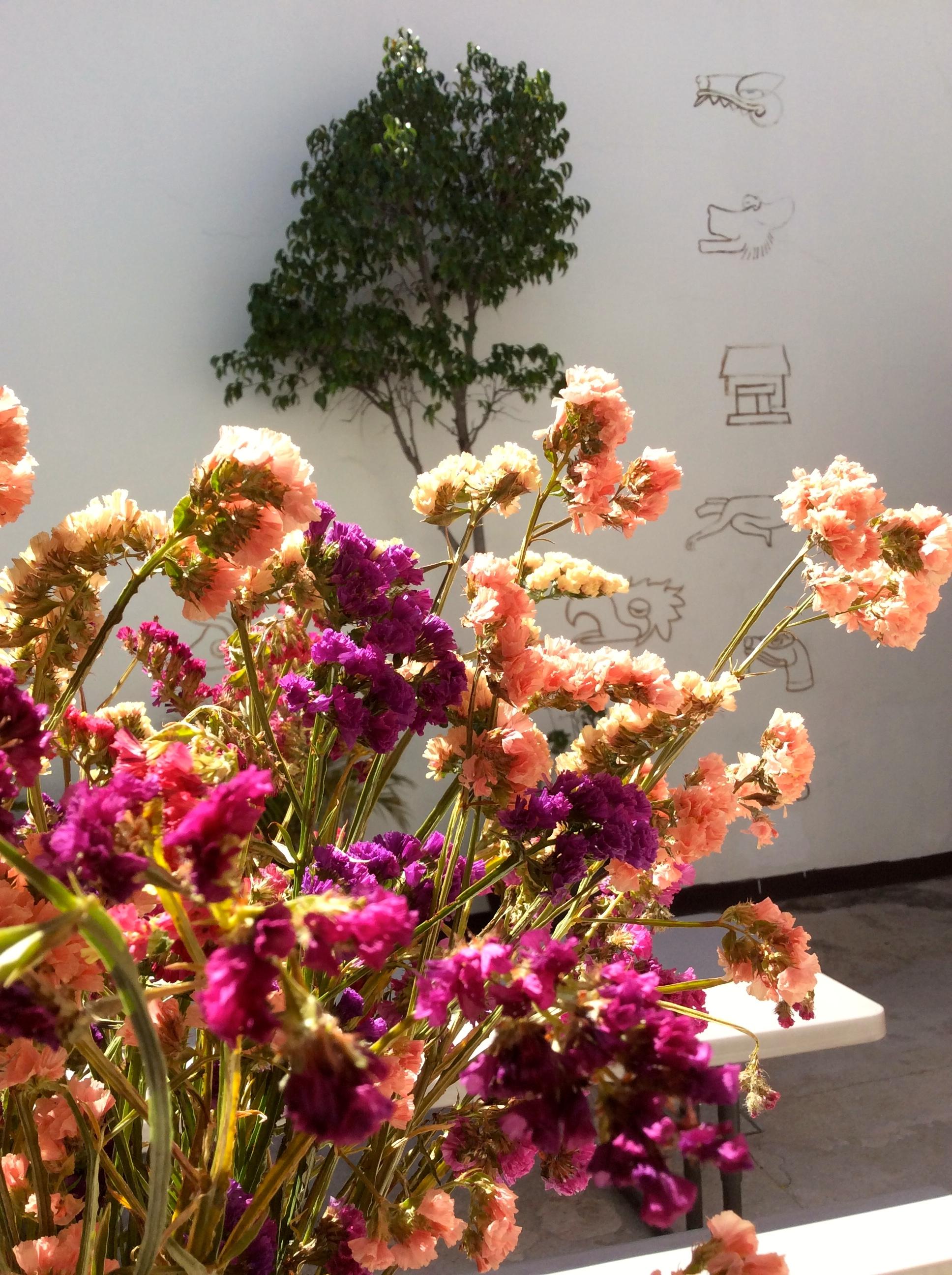 Instalaciones Recreativas Posada Yagul