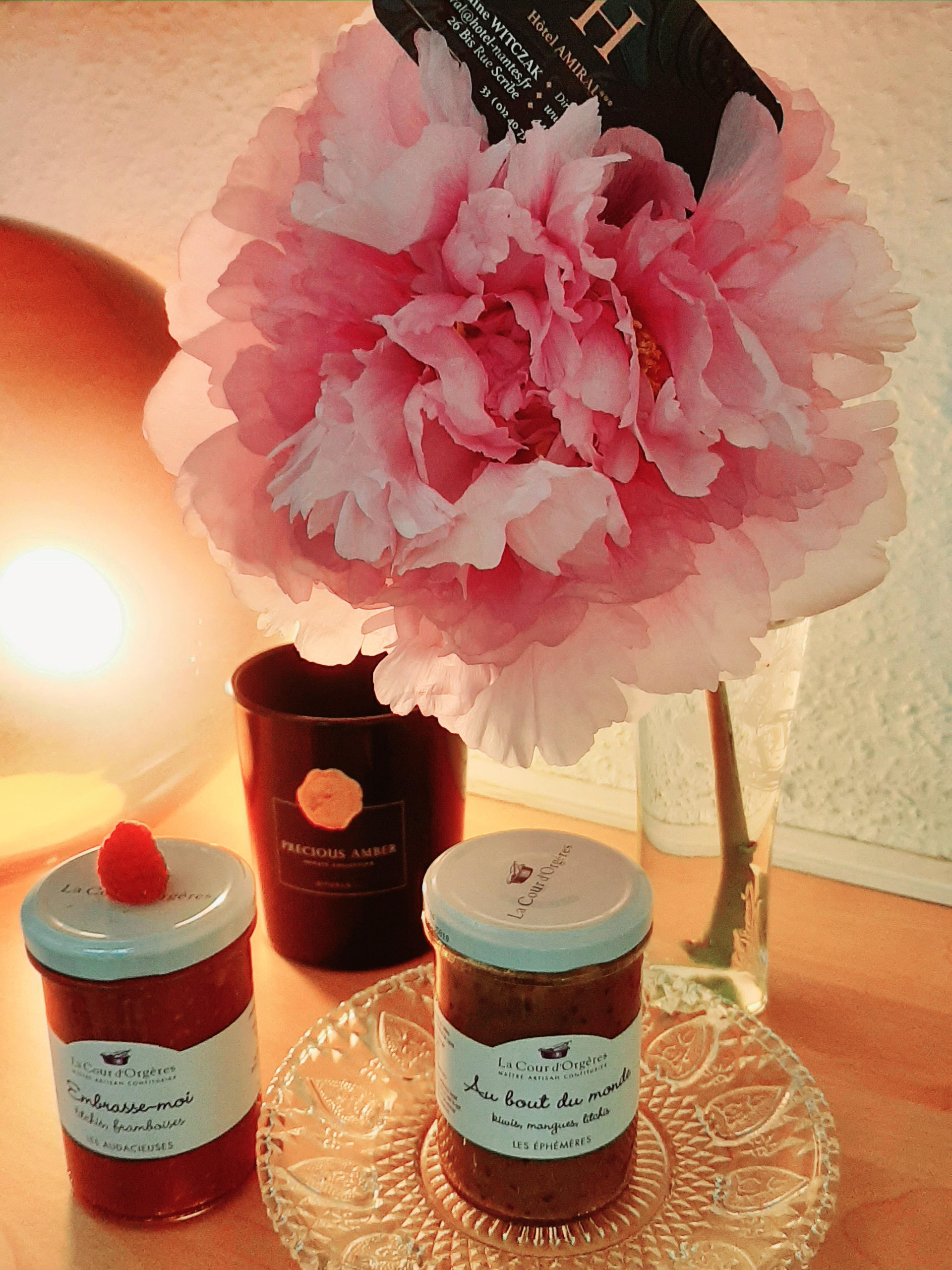 Vista Lobby Hotel Billie