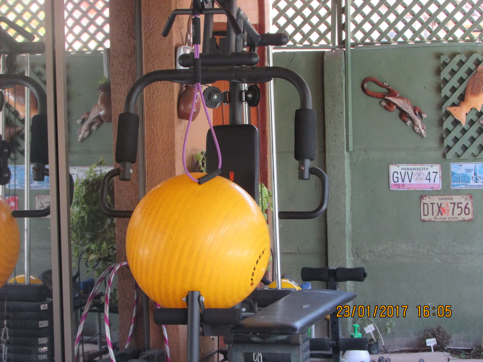 Gimnasio 52 House