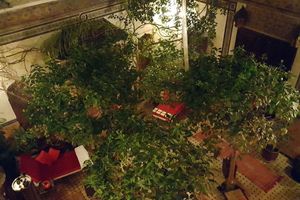 Alojamiento - Riad Jenaï Demeures du Maroc