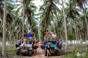 Actividad - Ruta del coco en la costa norte