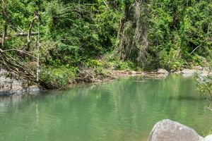 Actividad - Excursión a Los Cacaos y los charcos La Neverita