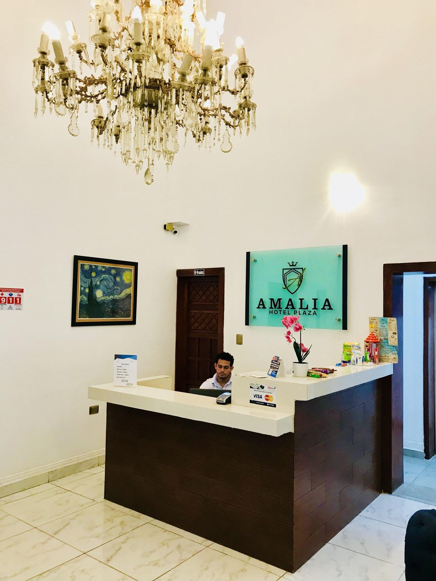 Vista Lobby Hotel Plaza Amalia