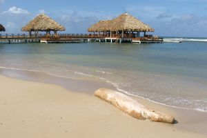 Alojamiento - Plaza Real Resort