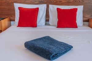 Alquiler Vacacional - Studio - With Terrace