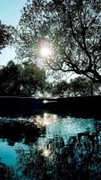 Aluguel por temporada - Countryside apartment with pool, jacuzzi and beautiful park