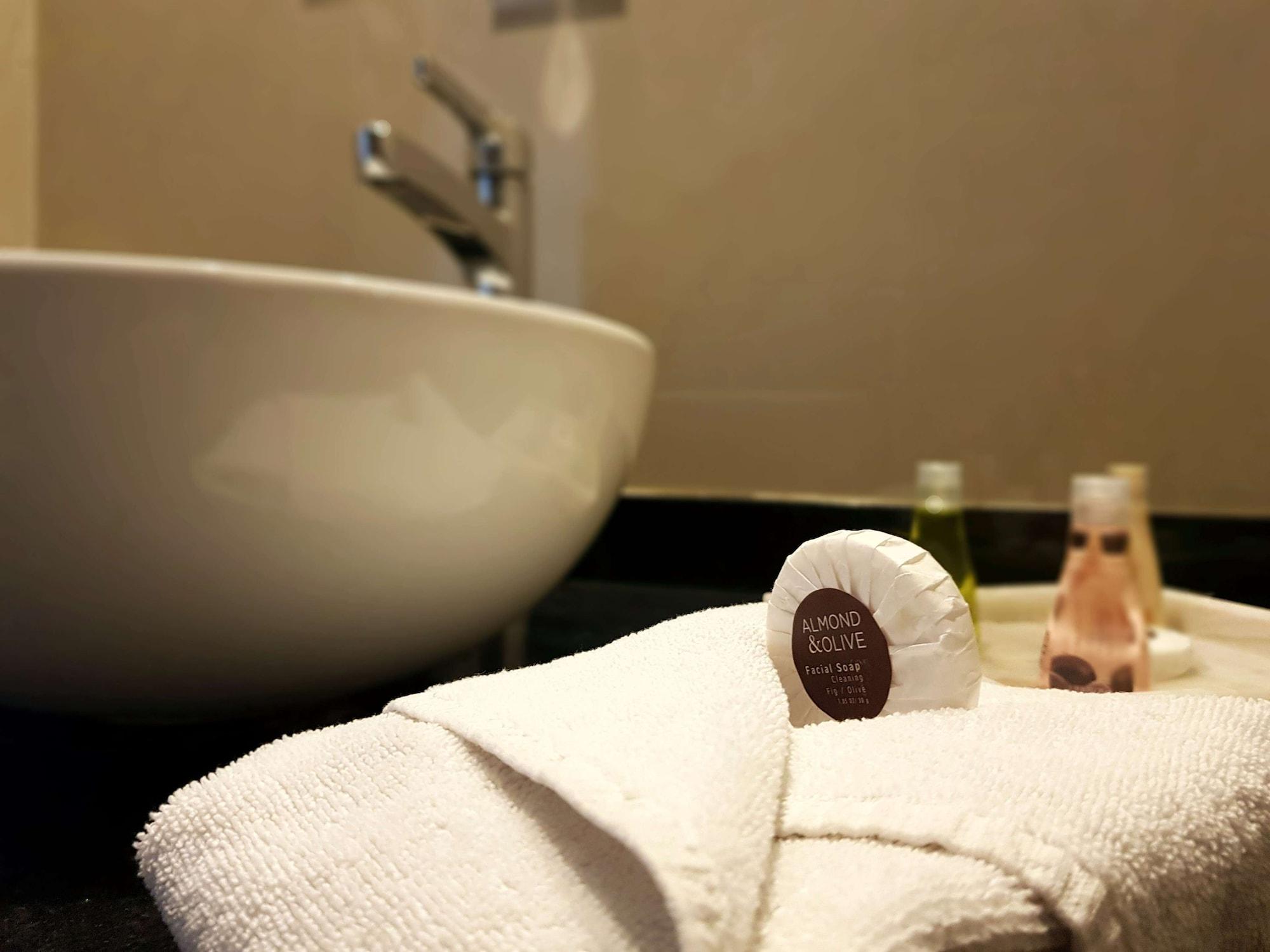 Equipamiento de Habitación Best Western Plus Metepec & Suites