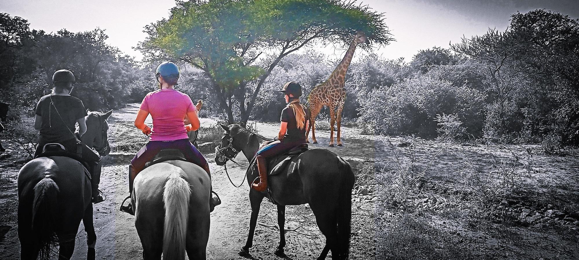 Instalaciones Recreativas Call of the Wild Lodge