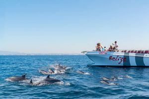 Actividad - Delfines y cuevas de Benagil en catamarán
