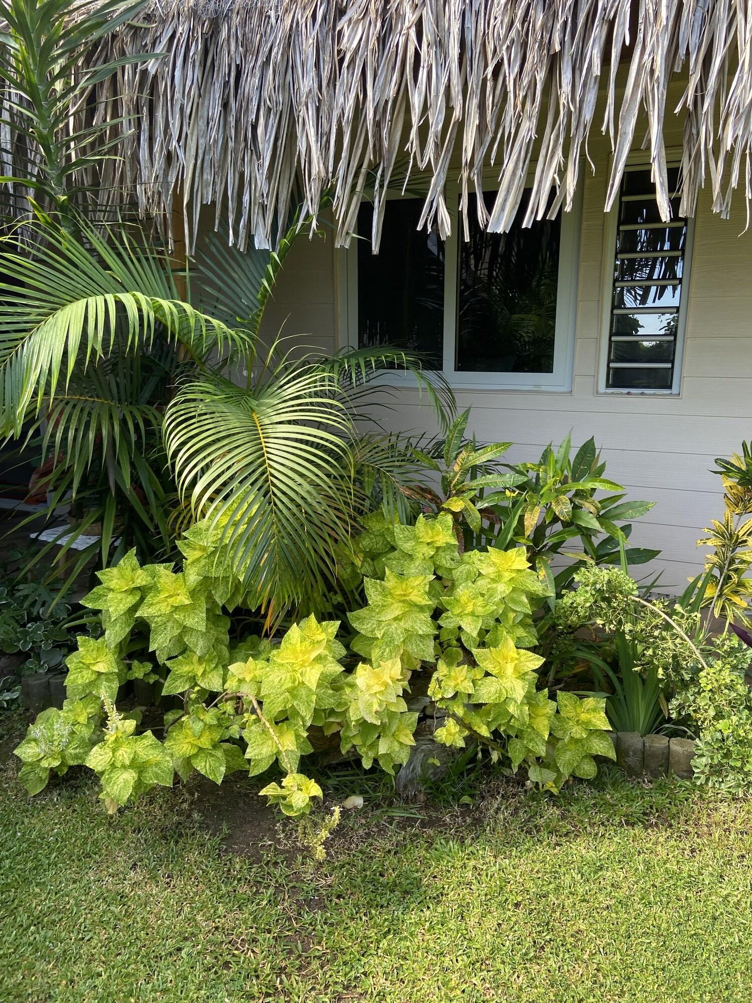 Vista Exterior Manaeva Lodge
