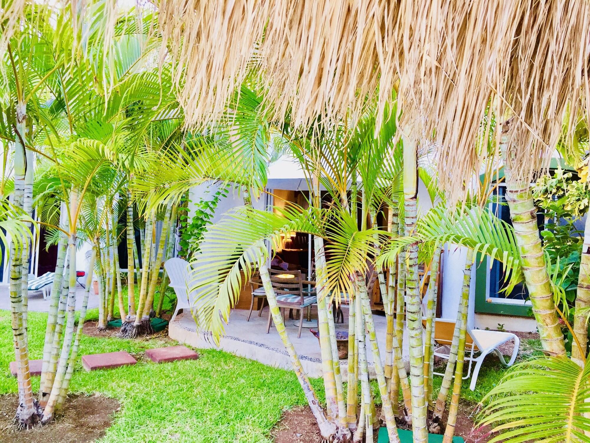 Comodidades del Alojamiento Room-superior Comfort Room With Swimming