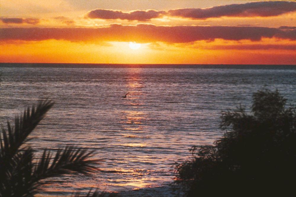 Playa Hotel Riu Papayas - All Inclusive