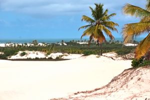 Passeio - Passeio aMangue Seco saindo de Aracaju