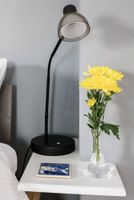 Alquiler Vacacional - Best of Downtown Asheville at Your Front Door