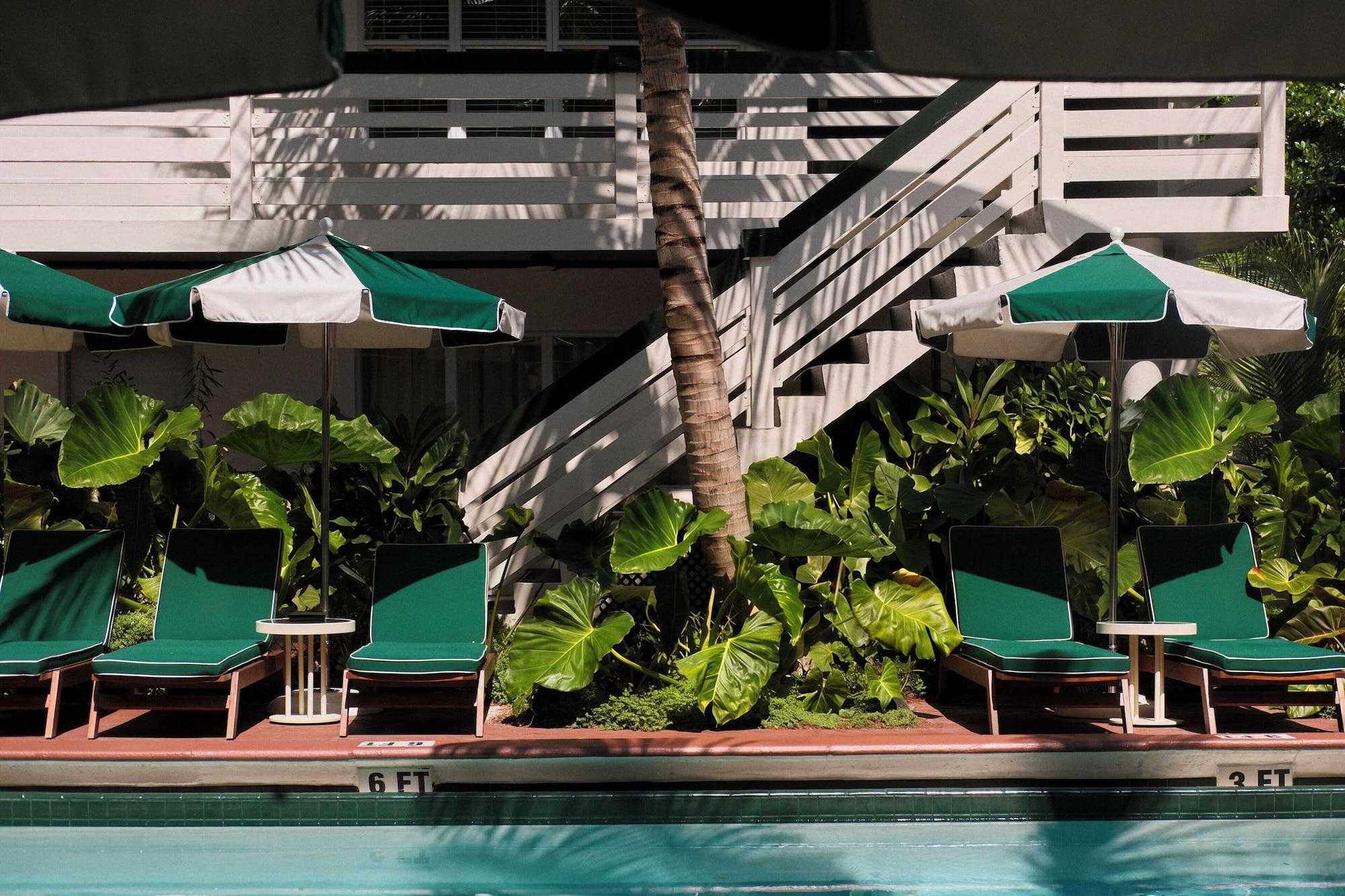 Varios Perroquet Hotel Fort Lauderdale Beach