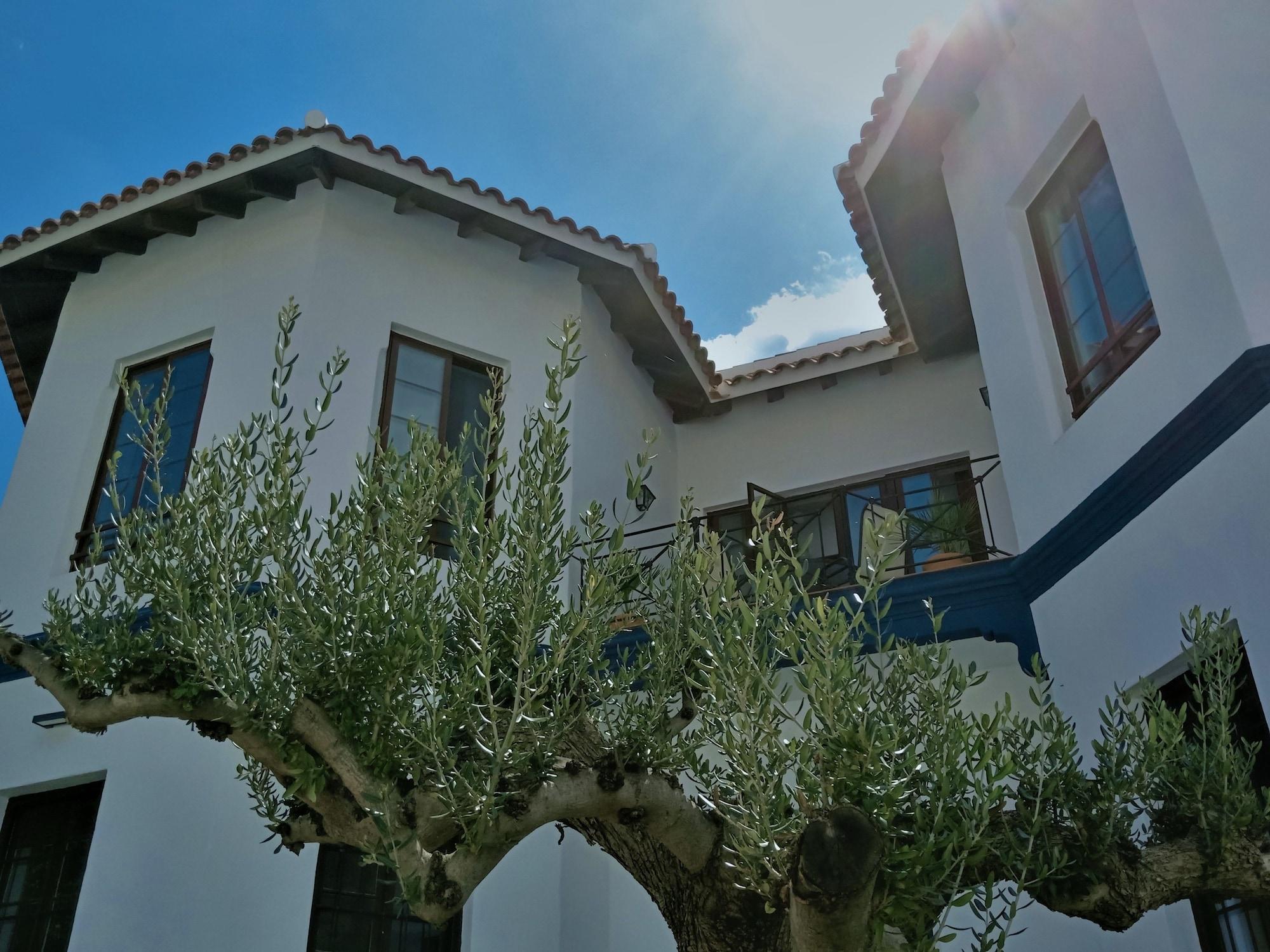 Vista Exterior El Cielo Azul