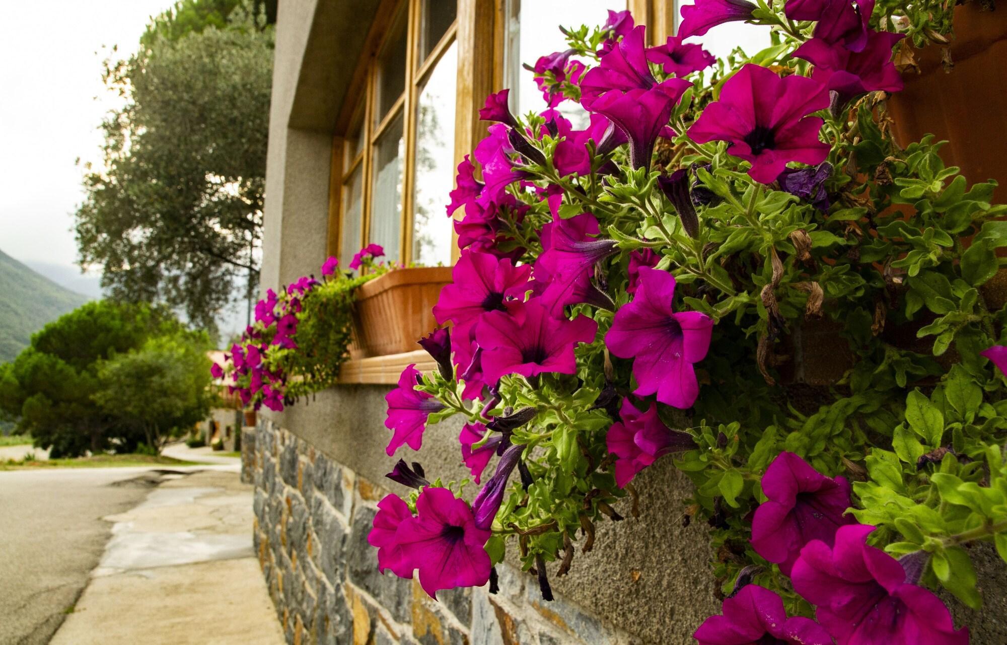 Restaurant Hostal Montserrat