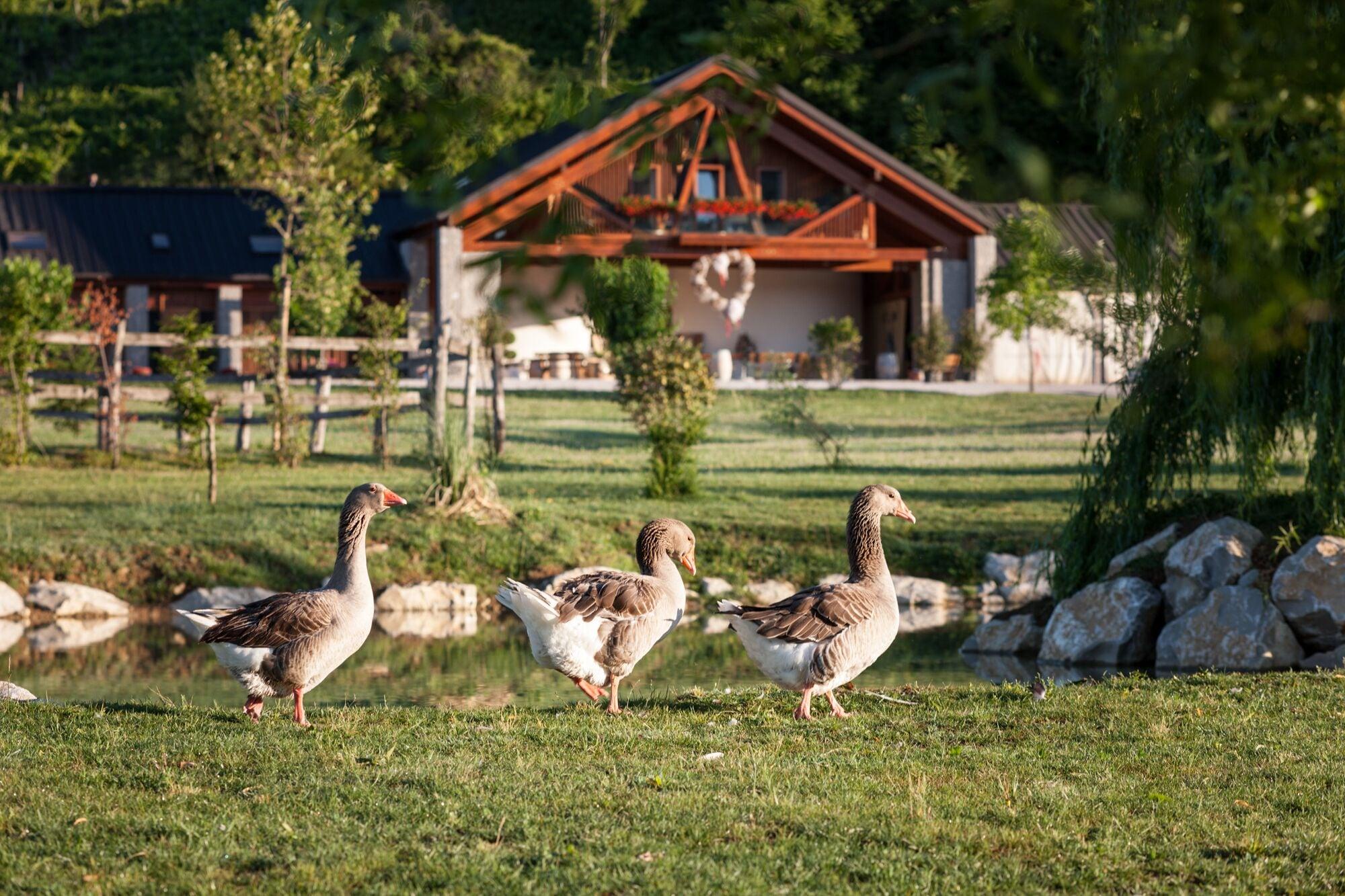 Vista Exterior Agriturismo I Comelli