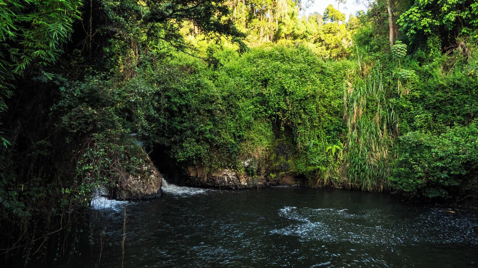 Restaurant TheAnabas Trout & Seafood Grill
