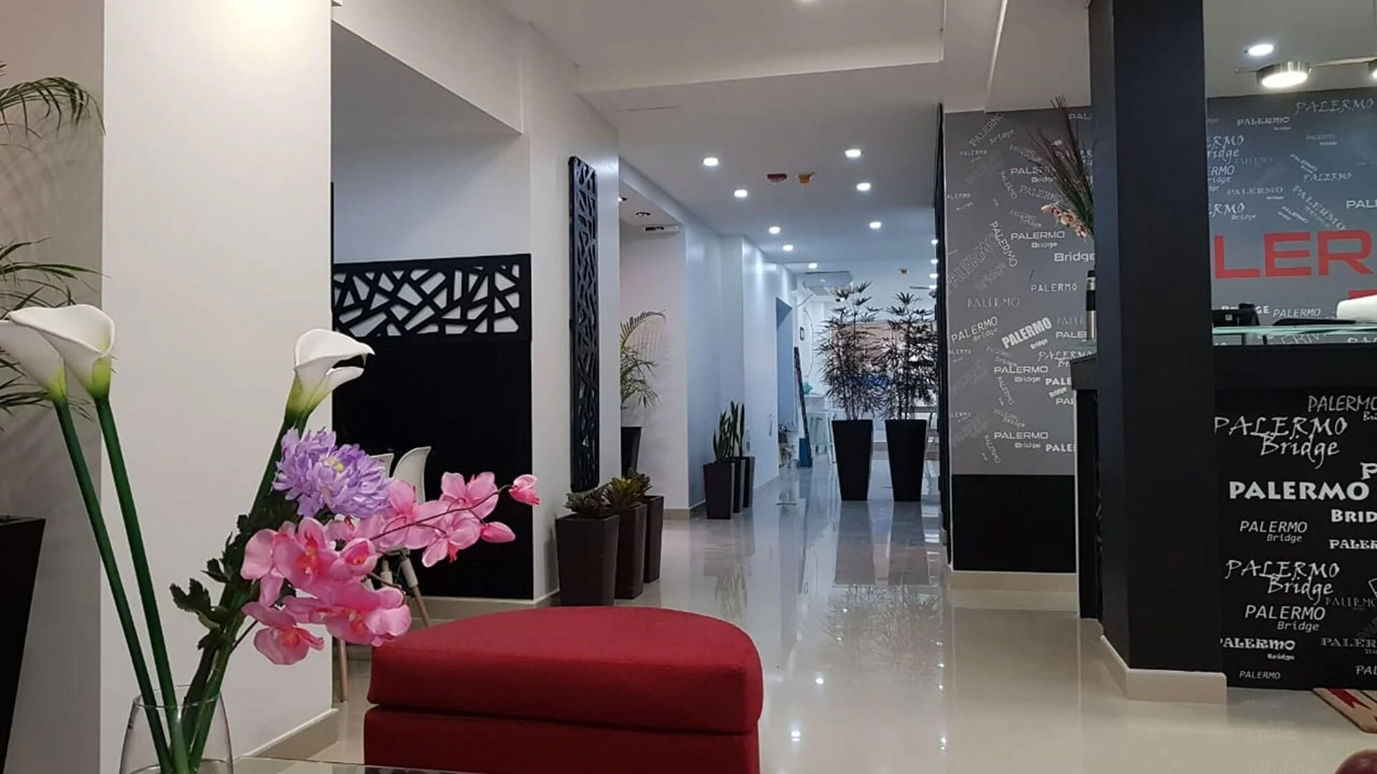 Varios Palermo Bridge