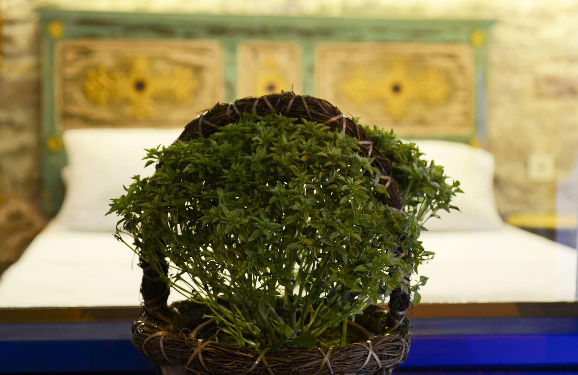 Set de Habitación Cunda Mavi Otel - Adults Only