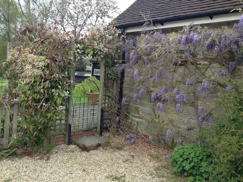 Varios Little Tidebrook Farm