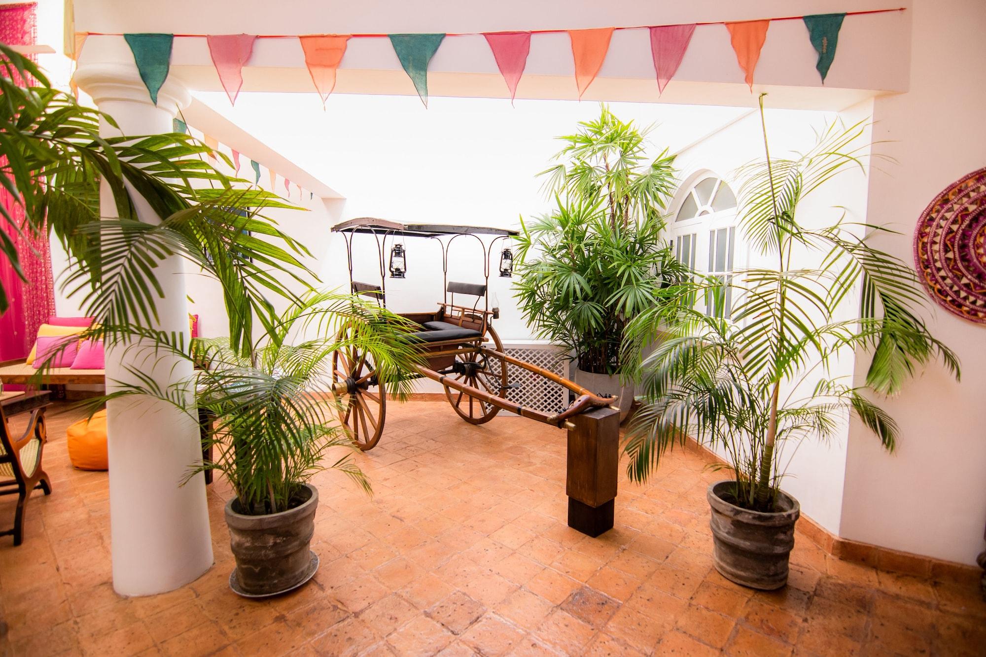 Vista Lobby Mango House